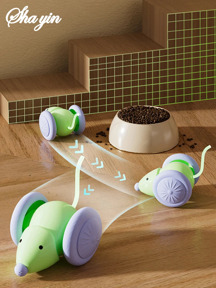Electric Mouse Toy