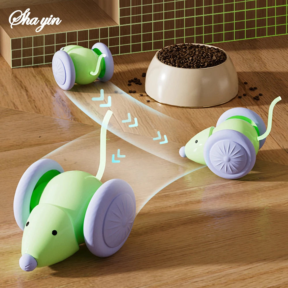 Electric Mouse Toy