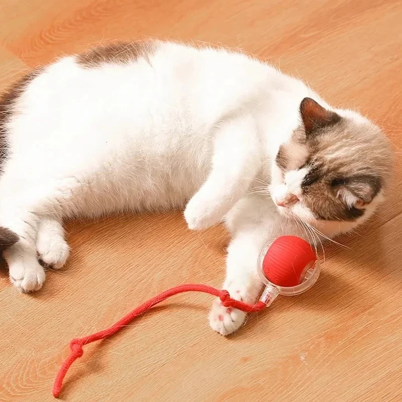 Cat Interactive Ball Toys Automatic Rolling Ball Rechargeable