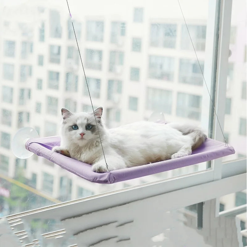 Cat hammock hanging cat bed