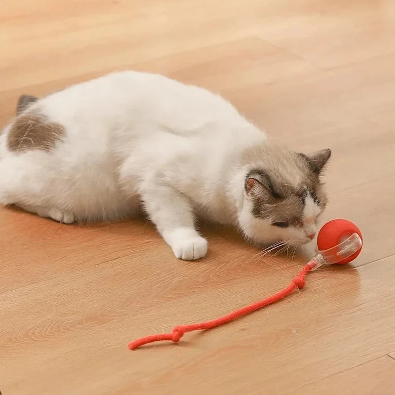 Cat Interactive Ball Toys Automatic Rolling Ball Rechargeable