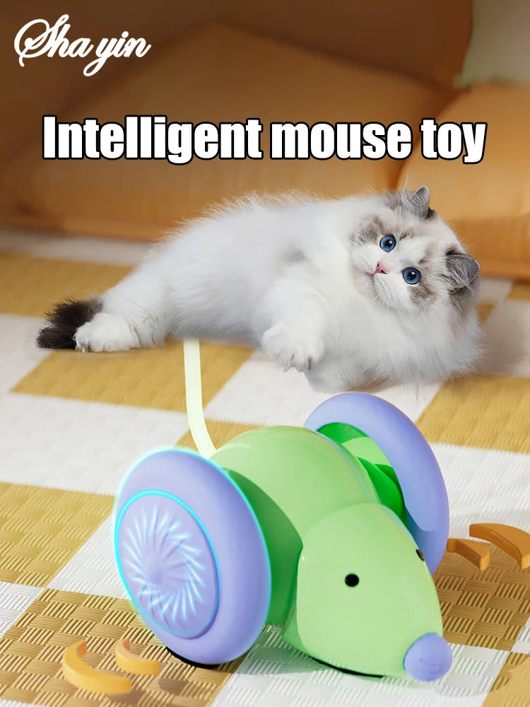 Electric Mouse Toy