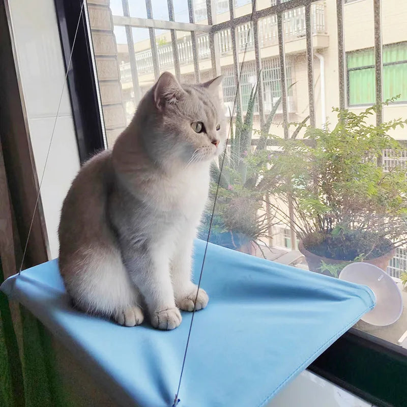 Cat hammock hanging cat bed