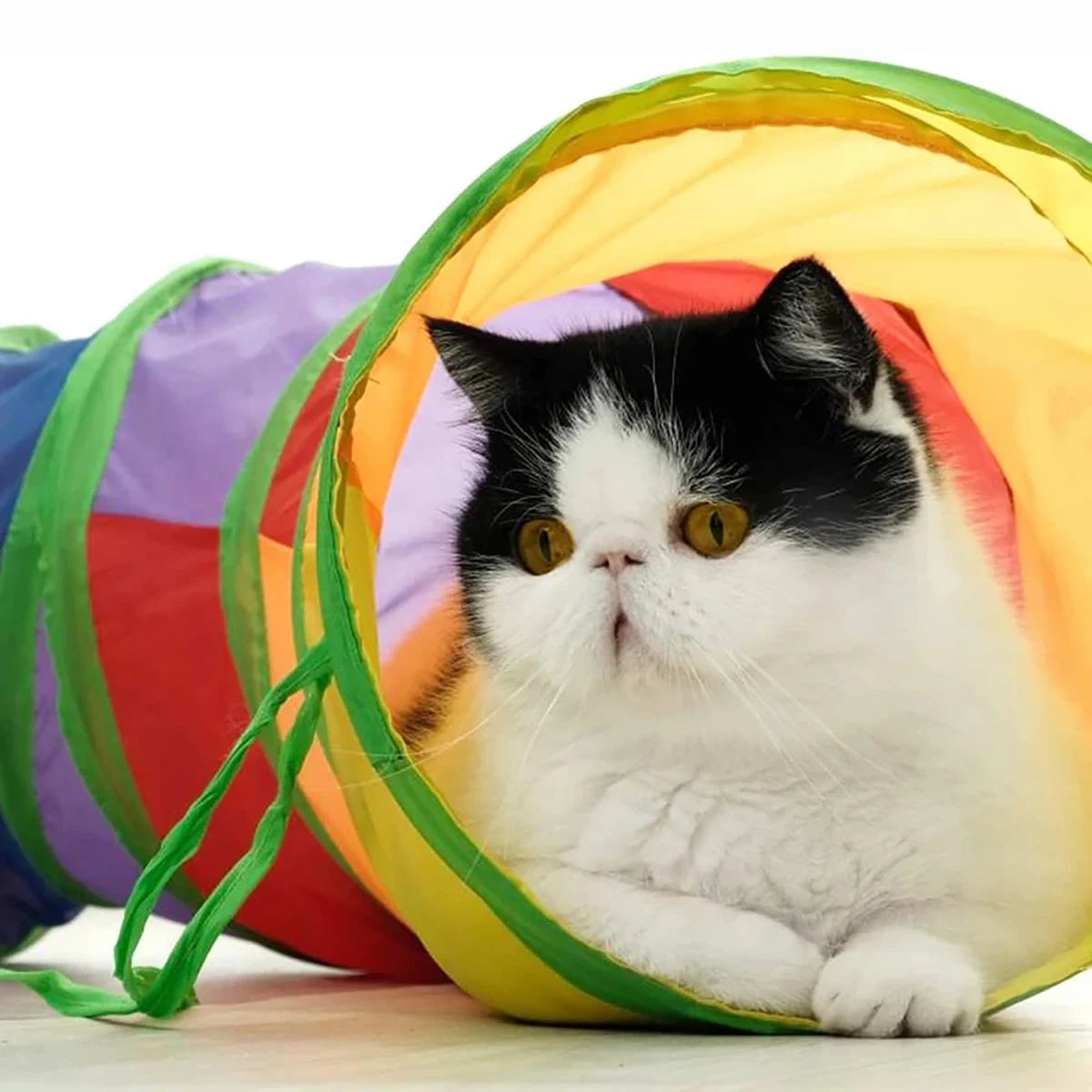 Cat Tunnel Tube - Foldable