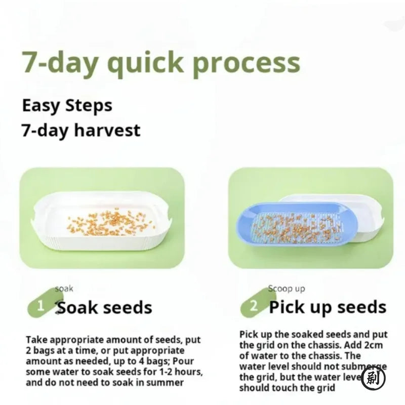 Hydroponic Soilless Grass - Catnip Planting Cat Grass Pot Set for Easy Growth