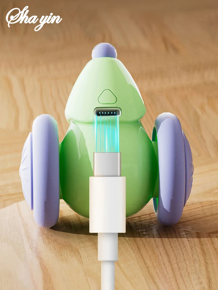 Electric Mouse Toy