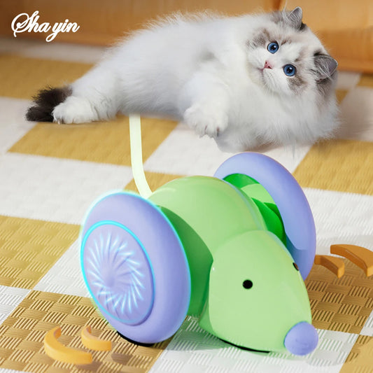 Electric Mouse Toy