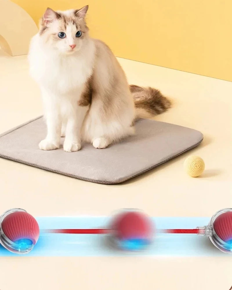 Cat Interactive Ball Toys Automatic Rolling Ball Rechargeable