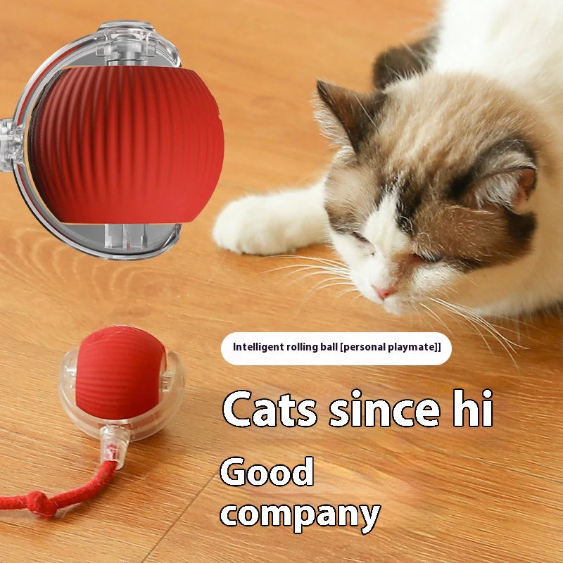 Cat Interactive Ball Toys Automatic Rolling Ball Rechargeable