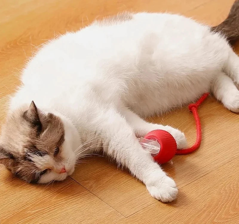 Cat Interactive Ball Toys Automatic Rolling Ball Rechargeable
