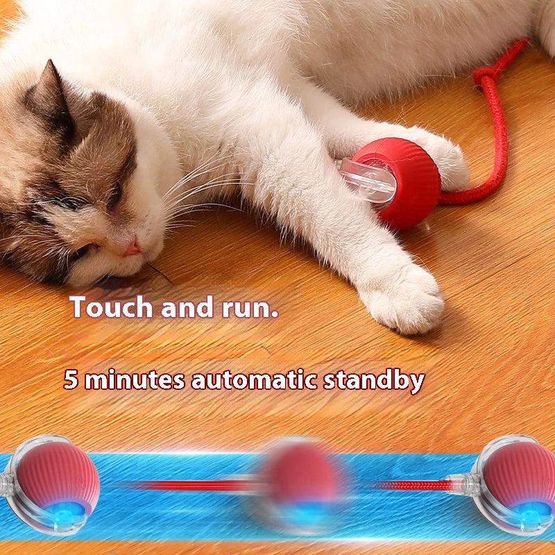 Cat Interactive Ball Toys Automatic Rolling Ball Rechargeable