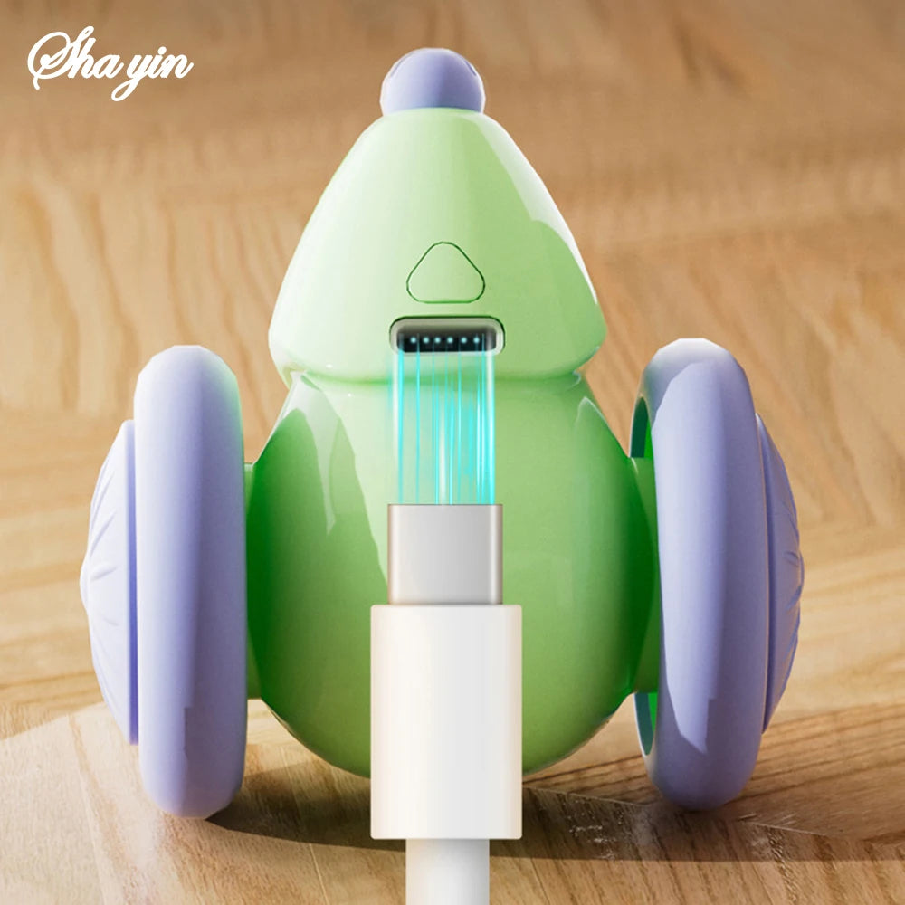 Electric Mouse Toy
