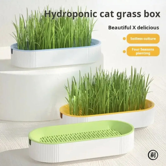 Hydroponic Soilless Grass - Catnip Planting Cat Grass Pot Set for Easy Growth