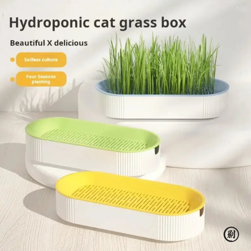 Hydroponic Soilless Grass - Catnip Planting Cat Grass Pot Set for Easy Growth