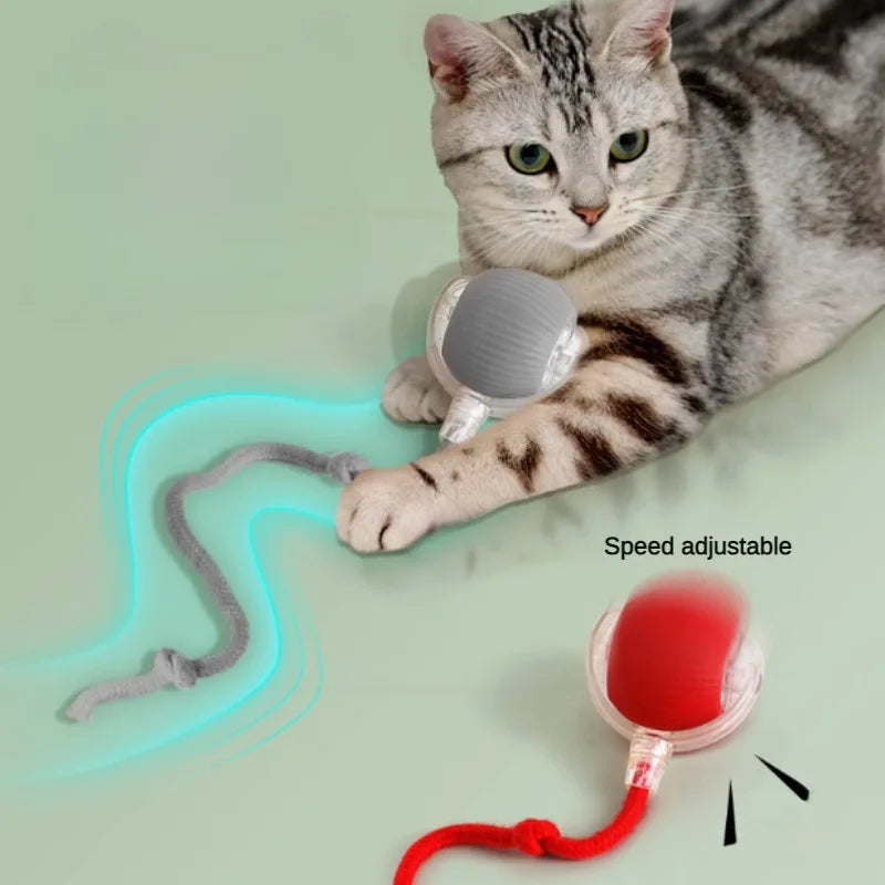 Cat Interactive Ball Toys Automatic Rolling Ball Rechargeable