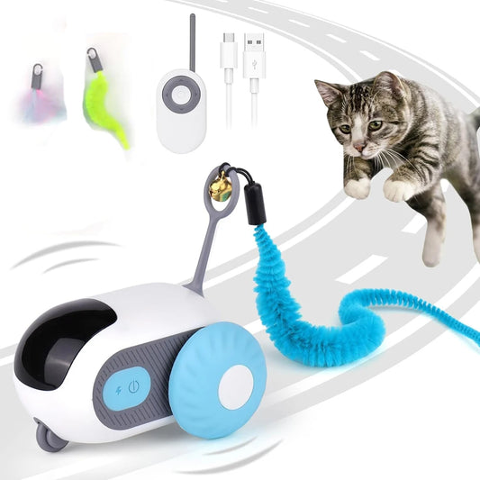 Automatic & Remote Controlled Toy Car